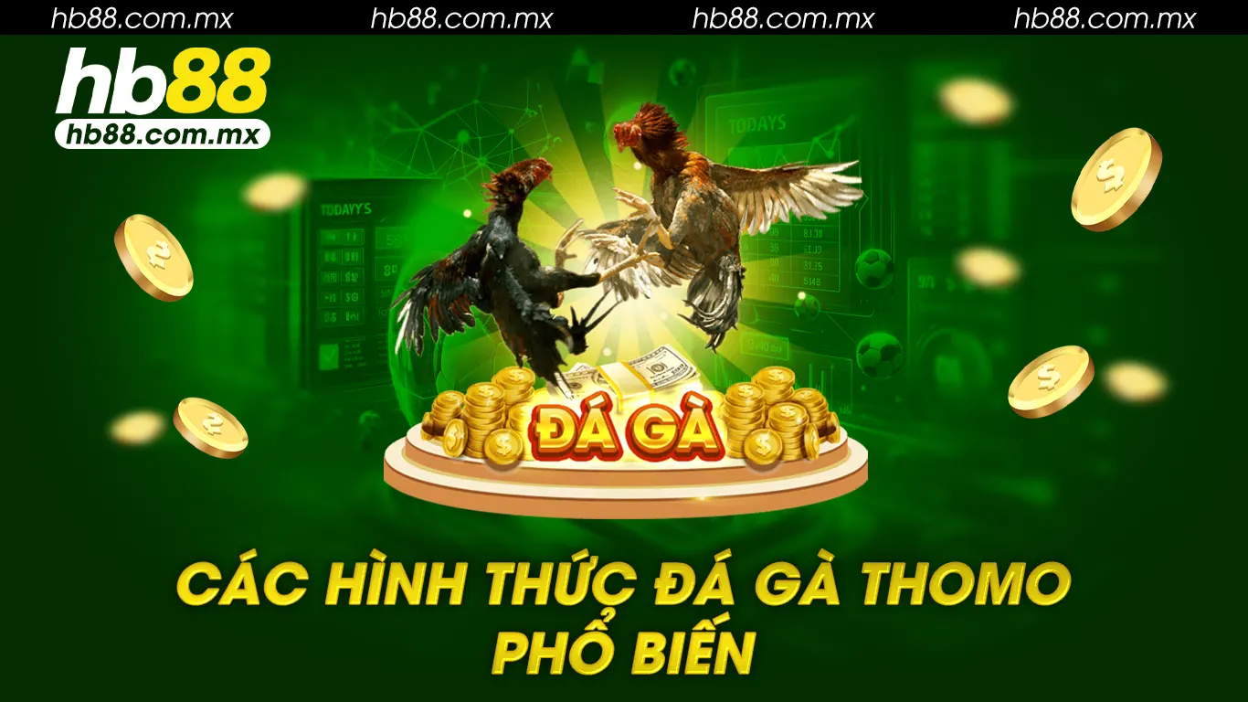 Các hình thức đá gà thomo phổ biến