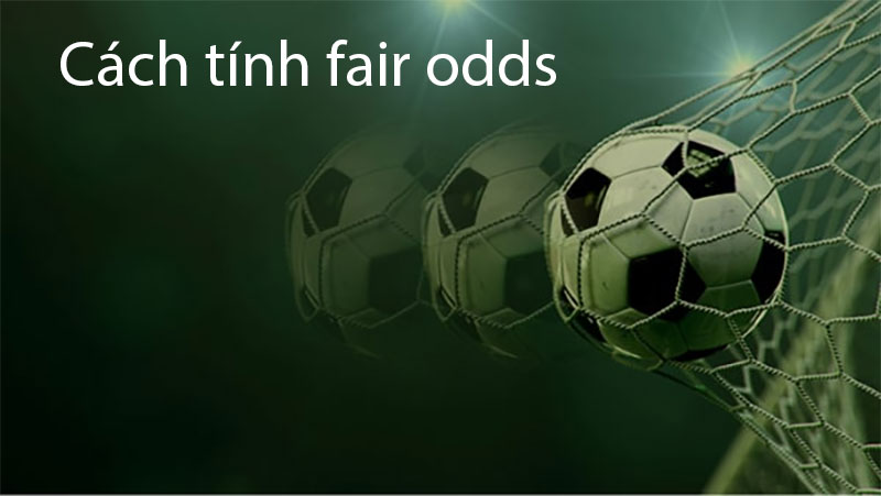 Cách tính Fair Odds chuẩn xác